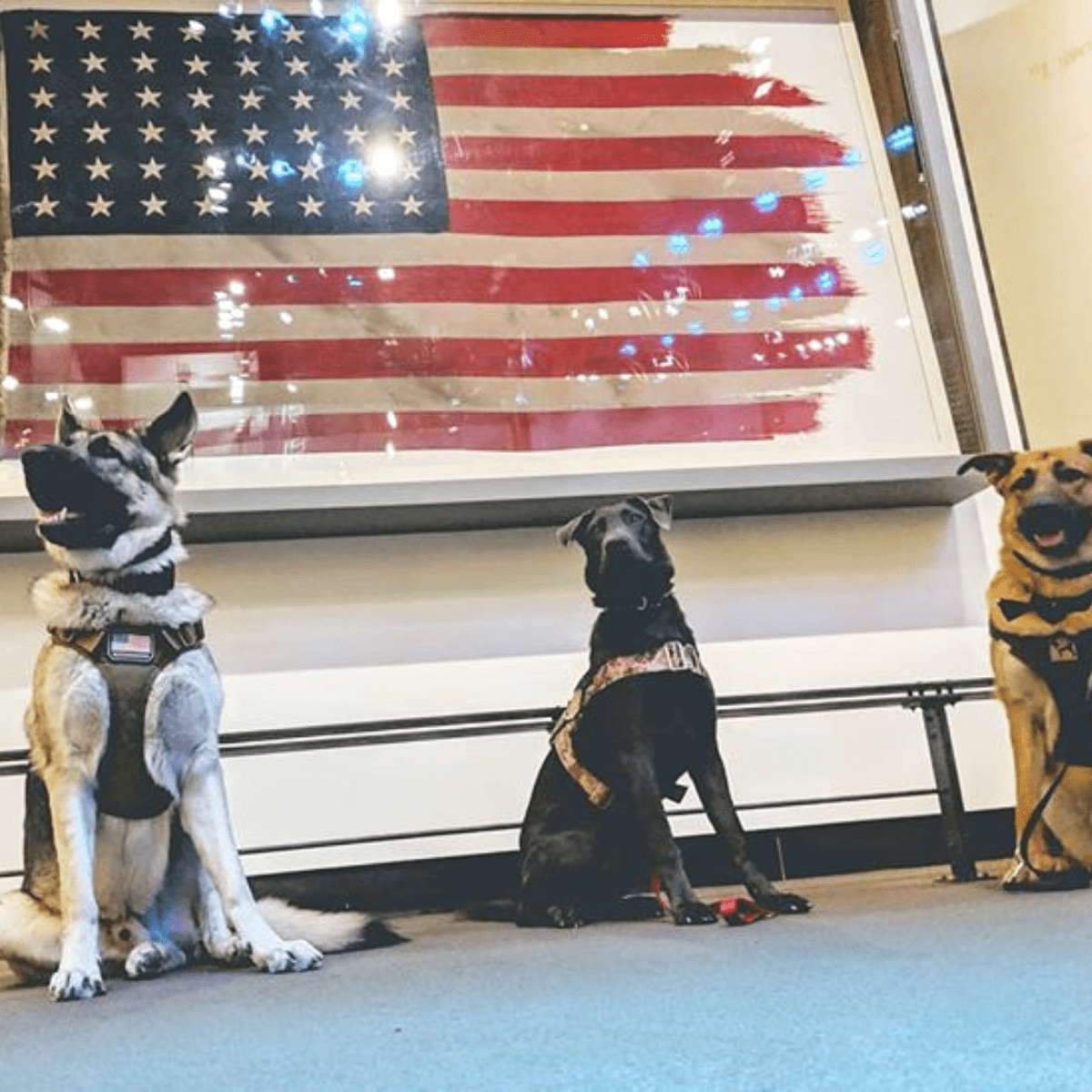 The Blog - Charliemadison Originals Gives Back to Veteran...
