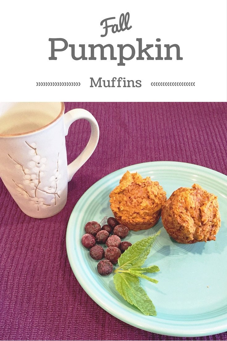 Pumpkin Muffins - Charliemadison Originals LLC